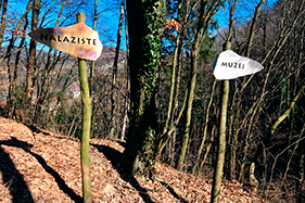 Muzej krapinskih neandertalaca