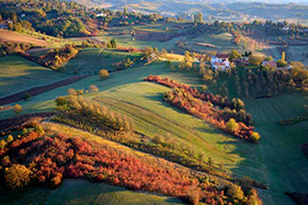 Wine & Gastro Tour