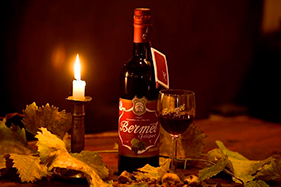Wine & Gastro Tour